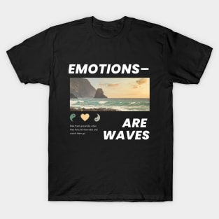 Facts about Feelings - 2A T-Shirt